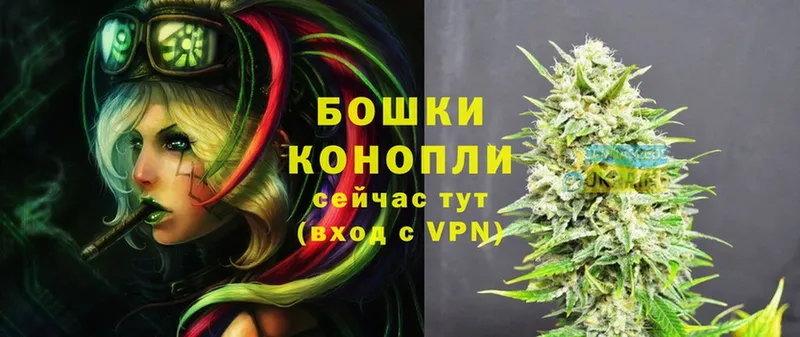 Марихуана THC 21%  где продают   Наволоки 